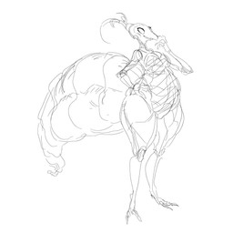 antennae_(anatomy) anthro arthropod_abdomen belly biped breasts empty_eyes eyelashes female hand_on_hip nude open_mouth simple_background solo standing white_background grindaviking hollow_knight_(franchise) team_cherry iselda_(hollow_knight) arthropod insect 1:1 2019 hi_res monochrome sketch unfinished