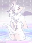 anthro butt cloud female fur nude partially_submerged smile solo standing grungecandy canid canine mammal 3:4