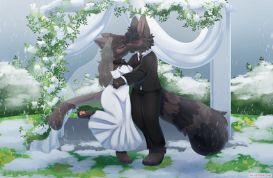 black_body brown_body clothing digit_ring dress duo female happy jewelry kiss_on_lips kissing male male/female raised_leg ring snow snowing standing suit wedding wedding_dress wedding_ring wedding_veil alister_ik isabelle_(solidsnuck) snuck_(solidsnuck) domestic_cat felid feline felis mammal procyonid raccoon absurd_res hi_res