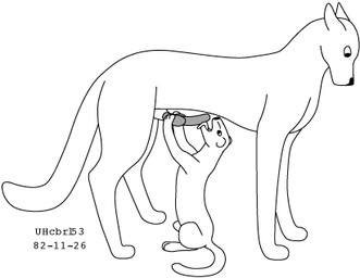 animal_genitalia animal_penis canine_genitalia canine_penis duo erection feral genitals hands_on_another's_knot interspecies knot licking long_tail male male/male oral penile penis penis_lick sex sheath sitting size_difference standing tail tongue tongue_out urbanhermit canid canine mammal species_request 1982 low_res