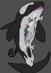 abdominal_bulge anal anal_penetration animal_genitalia animal_penis anus black_body bodily_fluids bulge cetacean cetacean_genitalia cetacean_penis common_dolphin cum cum_from_mouth cum_in_ass cum_in_mouth cum_inside cum_through detailed_bulge digital_drawing_(artwork) digital_media_(artwork) dolphin dorsal_fin duo erection feral fin fucked_silly genital_fluids genital_outline genitals grey_body heart_symbol hi_res inflation leaking_cum looking_pleasured male male/male male_penetrated male_penetrating male_penetrating_male mammal marine multicolored_body multicolored_penis neck_bulge oceanic_dolphin open_mouth orca penetration penile penile_penetration penis penis_outline sex signature simple_background size_difference star tail tail_fin tapering_penis teeth tongue tongue_out toothed_whale two_tone_body two_tone_penis wyrmling_(artist)