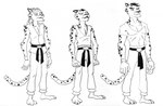 anthro barefoot belt black_belt bottomwear cheetahmen_ii clothing facial_hair feet goatee group karate_outfit male markings pants shirt simple_background spots spotted_markings topwear trio white_background ayato action_52 cheetahmen apollo_(cheetahmen) aries_(cheetahmen) hercules_(cheetahmen) cheetah felid feline mammal black_and_white monochrome traditional_media_(artwork)