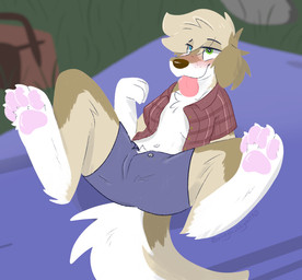 4_toes anthro bedding biped blanket blue_eyes blush bottomwear breasts brown_nose claws clothed clothing curled_tail day detailed_background digitigrade eyebrows feet female female_anthro floating_eyebrows fur grass green_eyes heart_eyes heart_symbol heterochromia hindpaw lying navel on_back open_clothing open_shirt open_topwear outside partially_clothed pawpads paws picnic pink_pawpads plant presenting shirt shorts smile solo spread_legs spreading tail tan_body tan_fur toe_claws toes tongue tongue_out topwear white_body white_fur vixeyhuskybutt gracie_(vixeyhuskybutt) bird_dog canid canine canis domestic_dog golden_retriever hunting_dog mammal retriever hi_res