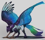 blue_tail blue_wings claws clothing ears_up feathered_wings feathers feral green_tail legwear male muscular purple_body purple_tail solo tail thigh_highs white_body wings diorionarh mythology avian bird gryphon mythological_avian mythological_creature colorful_theme hi_res