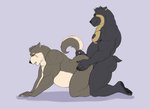 anal anthro belly black_body black_fur duo fur humanoid_hands male male/male overweight overweight_male scar sex simple_background dioni5 lifewonders tokyo_afterschool_summoners moritaka_(tas) bear canid canine canis domestic_dog mammal short-faced_bear spectacled_bear 2020