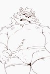 angry anthro belly boxer_briefs bulge clothing low-angle_view male musclegut muscular navel nipples pecs solo underwear heylaw21 lifewonders live_a_hero mokdai canid canine canis domestic_dog mammal absurd_res hi_res monochrome