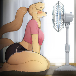 anthro athletic_wear barefoot big_breasts big_butt biped blonde_hair blush bodily_fluids bottomwear breasts butt clothed clothed_female clothing crop_top dolphin_shorts electric_fan eyes_closed feet female fully_clothed fully_clothed_female fur gym_bottomwear gym_shorts hair heat_(temperature) hotpants kneeling overheated ponytail shirt shorts side_view solo sweat topwear yellow_body yellow_fur 00niine liz_(00niine) canid canine canis domestic_dog mammal 1:1 hi_res