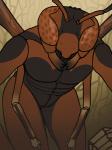 2016 3:4 3_fingers 4_arms abc_insects ambiguous_gender antennae_(anatomy) anthro arthropod athletic athletic_ambiguous athletic_anthro bent_over biped black_body black_countershading black_skin brown_antennae brown_background brown_body brown_countershading brown_exoskeleton brown_eyes brown_markings brown_skin brown_wings compound_eyes countershade_face countershade_torso countershading digital_media_(artwork) digital_painting_(artwork) exoskeleton featureless_crotch fingers flat_chested front_view grey_body grey_exoskeleton hand_on_leg hand_on_thigh hymenopteran insect insect_wings looking_at_viewer low-angle_view mandibles markings multi_arm multi_limb multicolored_body multicolored_exoskeleton multicolored_skin noet northern_paper_wasp nude paper_wasp pattern_background portrait reverse_countershading simple_background solo standing three-quarter_portrait two_tone_body two_tone_exoskeleton vespid wasp wings