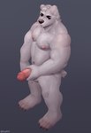 4_toes angry anthro balls barazoku barefoot claws feet fur genitals holding_penis humanoid_genitalia humanoid_penis male muscular muscular_male nipples nude pecs penis short_tail shy solo tail toe_claws toes white_body white_fur snaftfc bear mammal absurd_res hi_res