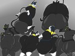 anthro ass_to_ass balls belt big_balls big_butt black_body black_fur black_tail blue_eyes butt butt_squish butt_touch clothing duo femboy fur genitals gradient_background grey_background huge_butt hyper hyper_butt kerchief looking_at_butt looking_at_viewer looking_back male male/male markings mask multiple_poses pink_nose pose presenting presenting_hindquarters scarf simple_background sitting_on_another squish tail tail_markings thick_thighs tight_clothing white_body white_fur masterj291 persona_(series) persona_5 black_clover_(masterj291) morgana_(persona) domestic_cat felid feline felis mammal tuxedo_cat 2025 digital_media_(artwork) hi_res