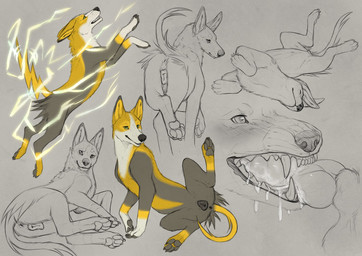 animal_genitalia animal_vulva anus canine_genitalia canine_vulva duo fellatio female feral genital_danger_play genitals knot male male/female multiple_poses oral oral_penetration penetration penile penis pose presenting sex sharp_teeth teeth vulva yaroul nintendo pokemon boltund generation_8_pokemon pokemon_(species) multiple_scenes partially_colored