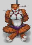 2016 anthro ball_gag barefoot bdsm biped black_body black_fur bondage bottomwear bound bulge clothed clothing countershading disney feet felid fur gag gagged hi_res looking_at_viewer lourkanda male mammal money muscular muscular_anthro muscular_male navel orange_body orange_fur ots44 pantherine pecs pole restraints rope rope_bondage rope_harness shadow shorts sitting solo steam stripes stripper submissive submissive_male text tiger tiger_dancer_(zootopia) topless white_body white_fur zootopia zootopia_shorts