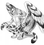 3_fingers 4_toes anthro beak bent_legs biped digitigrade ears_up feathered_wings feathers feet fingers kneeling leopard_spots male markings navel nude pose shadow simple_background solo spots spotted_body spotted_feathers tail toes white_background wings theowlette mythology gibbs_(onom) avian bird felid feline gryphon horned_owl hybrid lynx mammal mythological_avian mythological_creature owl pantherine snow_leopard snowy_owl true_owl 2013 digital_drawing_(artwork) digital_media_(artwork) monochrome sketch