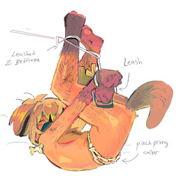 anthro arms_tied bdsm bone_collar_tag bound chain chain_leash chained collar_tag eyes_closed leash legs_tied male male_anthro mastectomy_scar pawpads restricted scar simple_background solo stress_position tail text hoofcoochie canid canine canis domestic_dog mammal 2025 english_text