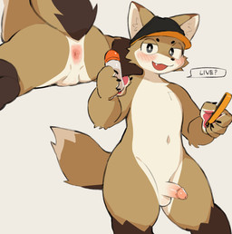 anthro anus balls biped black_eyes blush brown_body brown_fur claws clothing curvy_figure dialogue dipstick_tail electronics finger_claws front_view fur genitals glans half-closed_eyes handpaw hat hat_only headgear headgear_only headwear headwear_only holding_object holding_phone humanoid_genitalia humanoid_penis inner_ear_fluff leg_markings looking_at_viewer lube_bottle male markings mostly_nude mostly_nude_anthro mostly_nude_male multiple_positions narrowed_eyes navel open_mouth open_smile paws penis phone simple_background smile socks_(marking) solo speech_bubble spread_legs spreading standing tail tail_markings text thick_thighs tuft white_background white_body white_fur wide_hipped_anthro wide_hipped_male wide_hips ebi_tsunamayo canid canine mammal 2026 cel_shading digital_drawing_(artwork) digital_media_(artwork) english_text hi_res shaded