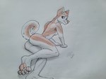 anthro brown_eyes butt female looking_at_viewer looking_back simple_background solo tail wolfyalex96 alaskan_malamute canid canine canis domestic_dog mammal nordic_sled_dog spitz 4:3 absurd_res hi_res traditional_media_(artwork)