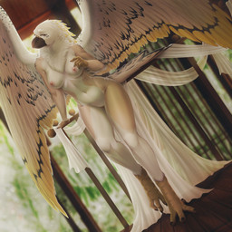 anthro areola beak biped breasts claws feathers feet female fingers front_view genitals inside looking_at_viewer navel nipples nude nude_anthro nude_female scutes smile solo standing tail toes vulva wings dafka avian bird 1:1 2026 absurd_res digital_drawing_(artwork) digital_media_(artwork) hi_res