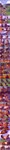 all_fours animal_genitalia animal_penis aroused balls belly belly_expansion big_penis bodily_fluids breath bursting_out_of_clothing butt butt_expansion clothing cum dialogue ear_growth ejaculation equine_genitalia equine_penis erection expansion feral fur fur_growth genital_fluids genital_growth genitals grin growth hands-free hooves human_to_feral male masturbation neck_growth outside penis penis_growth potion public ripping running smile snorting snout snout_growth solo species_transformation swelling tail tail_growth tongue tongue_out torn_clothing transformation transformation_potion transformation_sequence workout_clothing zoba_(artist) equid equine horse human mammal 2025 absurd_res comic digital_drawing_(artwork) digital_media_(artwork) hi_res long_image tall_image