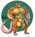 abs animal_genitalia anthro big_muscles genitals huge_muscles hyper hyper_genitalia hyper_muscles male muscular muscular_anthro muscular_male pecs sheath solo yaudizz mammal mouse murid murine rat rodent hi_res