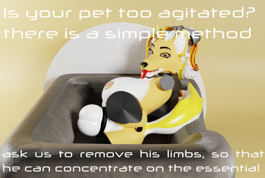 4_missing_limbs amputee anthro balls breasts buttplug chastity_device collar disability genitals gynomorph intersex looking_at_viewer nipples permanent_chastity_device plug_(sex_toy) quadruple_amputee sex_toy solo text tongue tongue_out haolde haolde_(character) canid canine canis mammal wolf 3d_(artwork) blender_(artwork) digital_media_(artwork) english_text hi_res gynomorph_(lore)