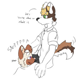 5_fingers anthro biped black_clothing black_underwear blonde_hair brown_body brown_fur bulge bulge_in_face bulge_sniffing clothed clothing dialogue duo fingers fur green_eyes hair half-closed_eyes holding_head male male/male male_anthro moan narrowed_eyes open_mouth purple_eyes shirt sitting sniffing sniffing_clothes sound_effects tail tail_motion tailwag tan_body tan_fur text topwear underwear underwear_sniffing white_clothing white_shirt white_topwear burritortilla milo_kim richard_lim canid canine canis domestic_cat domestic_dog felid feline felis mammal english_text hi_res