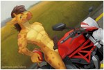 2016 abs anthro balls biceps digital_media_(artwork) ducati_(motorcycle) erection genital_piercing genitals giraffe giraffid grass iskra male mammal motorcycle muscular muscular_anthro muscular_male nipples nude pecs penis piercing plant pose road shaded smile solo spots text url vehicle