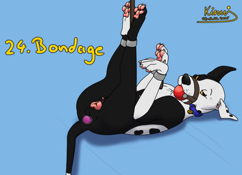 anal anal_penetration anatomically_correct animal_genitalia animal_vulva ankle_cuffs ankles_tied ball_gag bdsm black_body black_fur black_nose bondage bondage_gear bound buttplug canine_genitalia canine_vulva collar collar_tag cuff_(restraint) cuffed_ankles cuffed_wrists female female_feral female_penetrated feral feral_penetrated fur gag gagged gem genitals hands_tied harness harness_ball_gag harness_gag jewel_buttplug legs_tied legs_up light_bondage lying metal_cuffs multi_nipple muzzle_(object) nipples on_back orange_eyes pawpads paws penetration pink_vulva plug_(sex_toy) red_ball_gag restraints sex_toy sex_toy_penetration short_fur solo teats vulva white_body white_fur wrist_cuffs kinaj kinktober_2024 jess_(kinaj) bird_dog canid canine canis dalmatian domestic_dog hunting_dog labrador mammal mixed_breed retriever 2024 hi_res