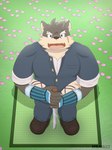 anthro armguards clothing footwear grass high-angle_view katana looking_at_viewer male melee_weapon petals plant scar school_uniform shoes slightly_chubby smile solo sword uniform weapon mkaiast lifewonders tokyo_afterschool_summoners moritaka_(tas) canid canine canis domestic_dog mammal absurd_res hi_res