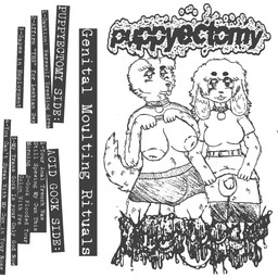 alternative_fashion anthro areola balls band_logo big_breasts bottomwear breasts buckteeth bulge clothed clothing clothing_lift collar collar_tag duo eyeliner female female/female flashing flashing_breasts flashing_penis fluffy fluffy_tail fur genitals gynomorph intersex inverted_nipples legwear looking_at_viewer makeup metalhead music nipples penis presenting presenting_breasts presenting_penis simple_background skirt skirt_lift tail teeth text thigh_highs tongue tongue_out underwear white_background galaxymoth canid canine canis domestic_dog lagomorph leporid mammal rabbit 1:1 album_cover cover english_text hi_res monochrome trans_(lore) trans_woman_(lore)