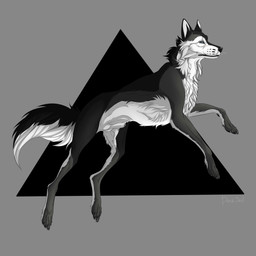 animal_genitalia balls black_body black_fur black_nose black_sclera blue_eyes cheek_tuft facial_tuft feral fully_sheathed fur genitals grey_body grey_fur male mouth_closed multicolored_body multicolored_fur neck_tuft sheath side_view simple_background solo tuft white_balls white_body white_fur white_sheath msdeadsoul canid canine mammal 1:1 absurd_res hi_res signature