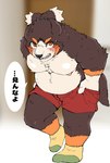 anthro belly big_belly black_body blush bodily_fluids brown_body clothing dialogue humanoid_hands kemono male moobs nipples overweight overweight_male solo sweat text underwear white_body osaruyan bernese_mountain_dog canid canine canis domestic_dog mammal molosser mountain_dog swiss_mountain_dog 2022 hi_res japanese_text