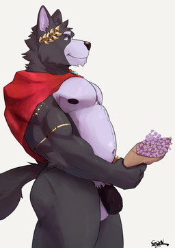 anthro armband balls biceps blue_eyes bouquet bracelet cape clothing flaccid flower foreskin fur genitals gold_(metal) gold_jewelry holding_flower holding_object jewelry laurel_wreath lavender_(flower) male male_anthro mostly_nude multicolored_body multicolored_fur musclegut muscular navel nipples penis plant red_cape red_clothing side_view simple_background solo standing tail two_tone_body two_tone_fur unretracted_foreskin gonnidae adastra adastra_(series) echo_project amicus_(adastra) canid canine canis mammal wolf 2025 absurd_res dated hi_res signature