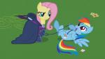 blue_body blue_feathers blue_fur collar cutie_mark duo feathered_wings feathers female feral fur hair leash multicolored_hair multicolored_tail rainbow_hair rainbow_tail tail wings adcoon friendship_is_magic hasbro my_little_pony mythology fluttershy_(mlp) rainbow_dash_(mlp) equid equine mammal mythological_creature mythological_equine pegasus 16:9 hi_res widescreen