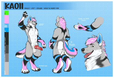 erection imkaoii male wolf-husky themutt canid canine canis hybrid mammal wolfdog hi_res model_sheet
