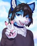 anthro blue_body blue_eyes blue_fur choker collar fluffy fur gesture hand_gesture jewelry male necklace one_eye_closed pawpads smile solo v_sign conditional_dnp shirsha tio_(parz) domestic_cat felid feline felis mammal 2023 digital_media_(artwork) hi_res