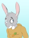 anthro blue_eyes closed_smile clothed clothing fur grey_body grey_ears grey_fur head_tuft hoodie inner_ear_fluff male mouth_closed orange_clothing orange_hoodie orange_topwear pink_inner_ear smile solo teeth topwear tuft white_body white_fur white_inner_ear_fluff bucklebunny lagomorph leporid mammal rabbit half-length_portrait hi_res portrait