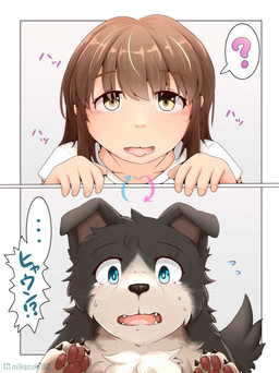 black_body black_fur blue_eyes blush body_swap brown_eyes brown_hair clothing confusion female fur hair pawpads paws raised_paw shirt teeth tongue tongue_out topwear white_body white_clothing white_fur white_shirt white_topwear worried mikazuki162 canid canine canis domestic_dog human mammal hi_res