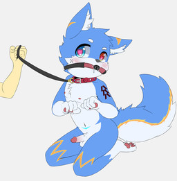 3_toes 4_fingers anthro ball_gag balls blush circumcised collar disembodied_hand duo erection feet fingers gag gagged genitals grey_background heart_eyes heart_symbol heterochromia humanoid_genitalia humanoid_penis leash leash_pull leashed_collar male penis shota simple_background sitting solo_focus toes white_background young choki canid canine fox mammal 2025 hi_res