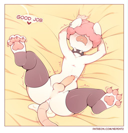 4_toes after_sex anthro balls bed_sheet bedding biped bodily_fluids circumcised claws clothed clothing collar cum cum_drip cum_in_ass cum_inside cum_on_belly cum_on_body cum_on_tail curling_toes dialogue dripping drooling ejaculation erection feet genital_fluids genitals hair hair_over_eyes heart_symbol humanoid_genitalia humanoid_penis legwear legwear_only lying male mostly_nude on_back open_mouth partially_clothed pawpads paws penis piercing praise saliva shaking solo speech_bubble spiked_collar spikes spread_legs spreading stockings stockings_only tail text thigh_highs toe_claws toes nepentz mammal mouse murid murine rodent absurd_res comic digital_media_(artwork) english_text hi_res shaded unavailable_at_source