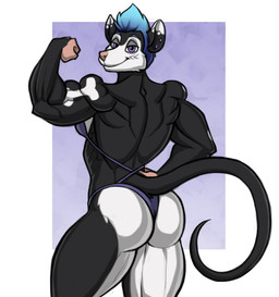 abs anthro bikini black_body black_fur black_skin blue_hair butt clothing flexing flexing_bicep fur hair half-closed_eyes male micro_bikini multicolored_body multicolored_fur muscle_tone muscular muscular_anthro muscular_male narrowed_eyes pecs simple_background smile smirk smug smug_face swimwear two-piece_swimsuit two_tone_body two_tone_fur white_body white_fur kostos_art mammal murid murine rat rodent hi_res