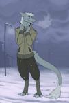 anthro askareth blue_eyes bottomwear breath claws clothed clothing coat cold conditional_dnp detailed_background evillabrat fur furgonomics grey_body grey_fur grey_hair hair hi_res outside pants sergal snow snowing solo street_lamp structure tail teal_eyes teeth toe_claws topwear white_body white_fur
