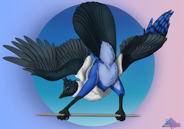 clothed clothed_feral clothing feet feral looking_at_viewer male raised_tail rictal_bristles solo sweater tail talons toes topwear ferobird randy_jay avian bird corvid jay_(bird) new_world_jay oscine passerine steller's_jay hi_res