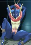 anthro biped blush bound erection genitals looking_at_viewer male penis rope sitting solo spread_legs spreading submissive submissive_male tapering_penis tongue tongue_out alios nintendo pokemon amphibian generation_6_pokemon greninja pokemon_(species) hi_res