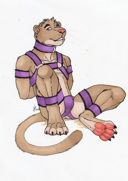 anthro athletic athletic_anthro athletic_male bdsm bondage bound brown_body brown_fur bulge clothed clothing collar frogtied fur hands_behind_back jockstrap legs_tied male male_anthro pawpads purple_clothing purple_collar purple_eyes purple_jockstrap purple_underwear red_nose red_pawpads simple_background sitting solo tan_body tan_fur topless underwear whiskers white_background hufnaar felid mammal hi_res