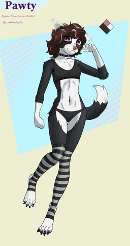 anthro black_bra black_clothing black_collar black_legwear black_panties black_stockings black_underwear bone_collar_tag bra brown_hair clothing collar collar_tag digitigrade ear_piercing ear_ring female fur gold_(metal) gold_ear_ring hair happy legwear multicolored_body multicolored_fur multicolored_hair panties pattern_clothing pattern_legwear pattern_stockings piercing pink_eyes pink_nose ring_piercing solo sports_bra standing stockings striped_clothing striped_legwear striped_stockings stripes tail text text_on_collar_tag underwear wearing_collar mrowley66 pawty border_collie canid canine canis collie domestic_dog herding_dog mammal pastoral_dog sheepdog absurd_res hi_res model_sheet