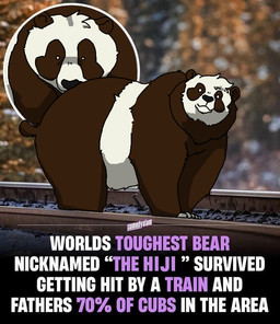 black_body black_fur blurred_background claws dot_eyes feral fur head_tuft humor looking_at_viewer male musclegut muscular nail on_train_tracks panda_ears panda_tail parody plant railway_track scenery simple_eyes small_tail snout solo tail text tree tuft white_body white_eyes white_fur hijackerdraws hiji bear giant_panda mammal english_text