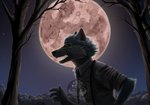 anthro black_nose bloodmoon blue_body blue_fur claws clothed clothing dark fur light male moon moonlight necktie night plant solo star teeth tree poker_(artist) beastars legoshi_(beastars) canid canine canis mammal wolf hi_res