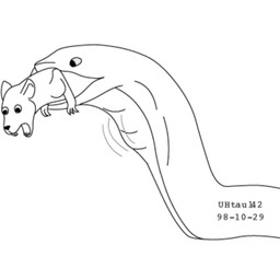 duo feet_first feral feral_pred feral_prey larger_pred male male/male nude_pred nude_prey open_mouth oral_vore partially_inside scared size_difference struggling struggling_prey teeth unwilling_pred unwilling_prey vore urbanhermit mammal murid murine rat reptile rodent scalie snake 1998 1:1 black_and_white dated monochrome