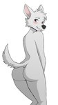 anthro belka big_butt blue_eyes butt canid canine canis domestic_dog embarrassed female fur gess11 hi_res looking_at_viewer mammal nude nude_anthro presenting presenting_hindquarters slim smile solo space_dogs tail white_body white_fur