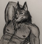 anthro armpit_fetish armpit_hair armpit_play body_hair collar good_boy male muscular muscular_anthro nipple_piercing nipples piercing canid canine canis gulonine mammal mustelid musteline wolf wolverine hi_res